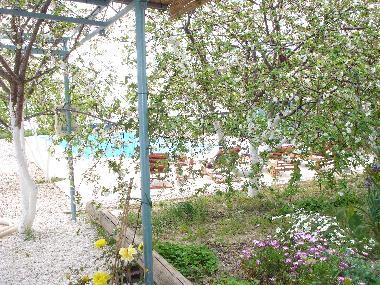 Villa /en/au Split (Splitsko-Dalmatinska)ou appartement ou maison de vacances