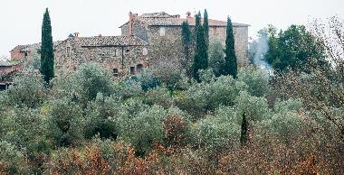 Appartement de vacances �/en/au Lucignano (Siena)ou appartement ou maison de vacances