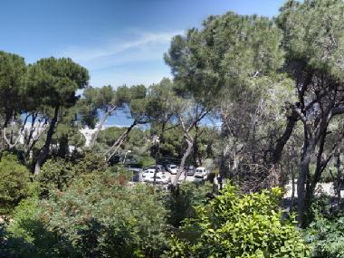 Appartement de vacances �/en/au Haifa (Hefa (Haifa))ou appartement ou maison de vacances