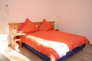 Appartement de vacances /en/au Alf (Mosel - Saar)ou appartement ou maison de vacances