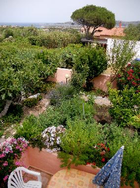 Appartement de vacances /en/au la maddalena (Olbia-Tempio)ou appartement ou maison de vacances