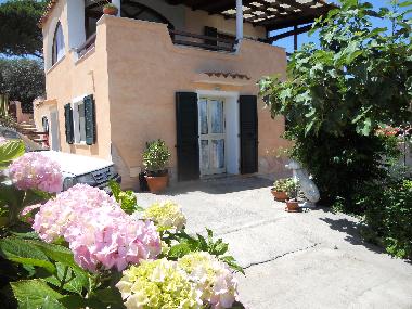 Appartement de vacances /en/au la maddalena (Olbia-Tempio)ou appartement ou maison de vacances