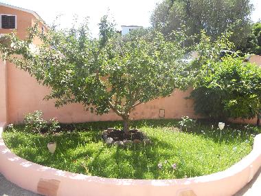 Appartement de vacances /en/au la maddalena (Olbia-Tempio)ou appartement ou maison de vacances