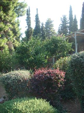 Jardin residence