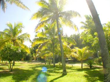 Maison de vacances /en/au Grand Baie (Pamplemousses)ou appartement ou maison de vacances