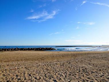 Appartement de vacances �/en/au Montpellier (H�rault)ou appartement ou maison de vacances