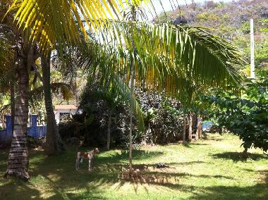 Appartement de vacances �/en/au Saman� (Samana)ou appartement ou maison de vacances