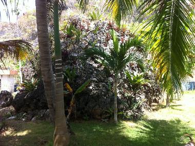 Appartement de vacances �/en/au Saman� (Samana)ou appartement ou maison de vacances