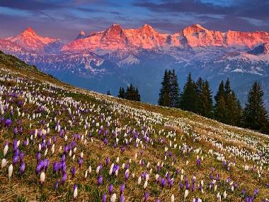 Appartement de vacances �/en/au B�nigen/Interlaken (Interlaken - Jungfrau)ou appartement ou maison de vacances