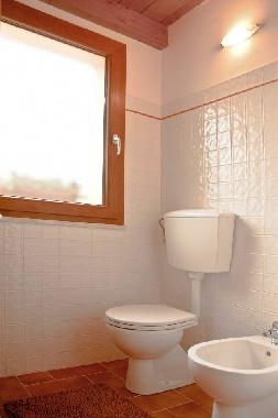 Appartement de vacances /en/au Bibbona (Livorno)ou appartement ou maison de vacances