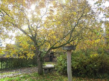 Maison de vacances /en/au Wevelgem (Flandre)ou appartement ou maison de vacances