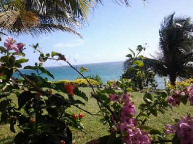 Maison de vacances �/en/au Goodwood (Tobago)ou appartement ou maison de vacances