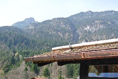 Maison de vacances /en/au Garmisch-Partenkirchen (Oberbayern)ou appartement ou maison de vacances