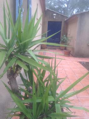 Maison de vacances /en/au NIMES (Gard)ou appartement ou maison de vacances