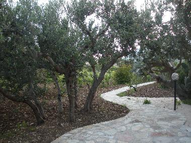 Villa /en/au castellammare del golfo (Trapani)ou appartement ou maison de vacances