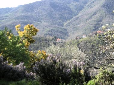Appartement de vacances /en/au Casanova Lerrone (Savona)ou appartement ou maison de vacances