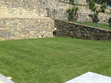 Appartement de vacances �/en/au Ospedaletti (Imperia)ou appartement ou maison de vacances