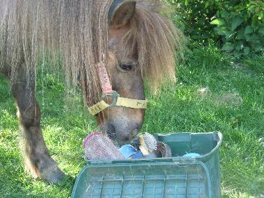 Appartement de vacances �/en/au Urweiler (St. Wendel)ou appartement ou maison de vacances