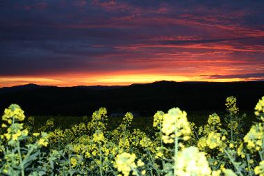 Appartement de vacances �/en/au Urweiler (St. Wendel)ou appartement ou maison de vacances