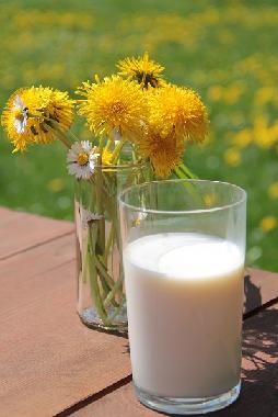 Appartement de vacances �/en/au Urweiler (St. Wendel)ou appartement ou maison de vacances