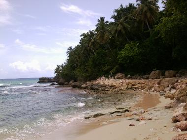 Appartement de vacances �/en/au Cabarete (Puerto Plata)ou appartement ou maison de vacances