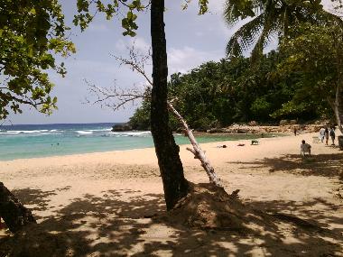Appartement de vacances �/en/au Cabarete (Puerto Plata)ou appartement ou maison de vacances