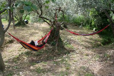 Maison de vacances /en/au zagora (Magnisia)ou appartement ou maison de vacances