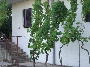 Maison de vacances �/en/au Poljica (Splitsko-Dalmatinska)ou appartement ou maison de vacances