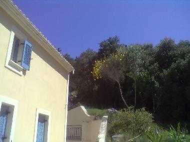 Villa �/en/au Antipata (Kefallinia)ou appartement ou maison de vacances