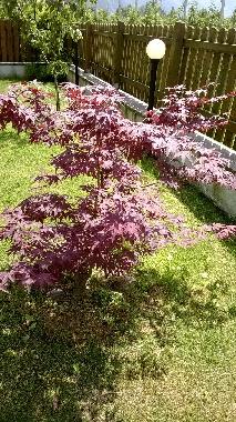 Maison de vacances �/en/au Bolzano (Bolzano-Bozen)ou appartement ou maison de vacances