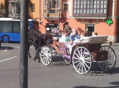 Appartement de vacances /en/au mallorca (Mallorca)ou appartement ou maison de vacances