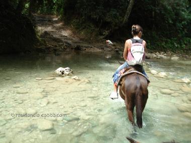 En allant � la cascade de El Limon � cheval - �