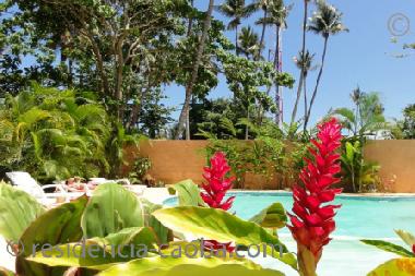 Au bord de la piscine - �