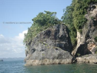 Visitez le Parc National Los Ha�tises - �