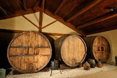 La Yole producteur des grande vins