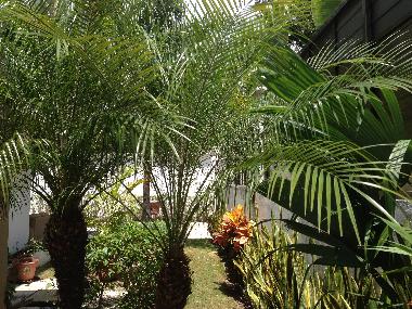 Chambre avec petit d�jeuner �/en/au Playa del Carmen (Quintana Roo)ou appartement ou maison de vacances