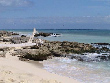 Chambre avec petit d�jeuner �/en/au Playa del Carmen (Quintana Roo)ou appartement ou maison de vacances