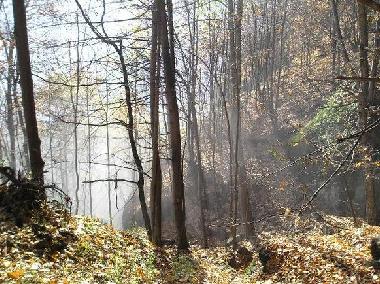 Appartement de vacances /en/au Viganella (VB) (Verbano-Cusio-Ossola)ou appartement ou maison de vacances