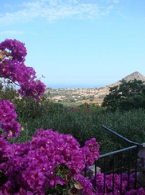 Villa �/en/au Castellammare del Golfo (Trapani)ou appartement ou maison de vacances