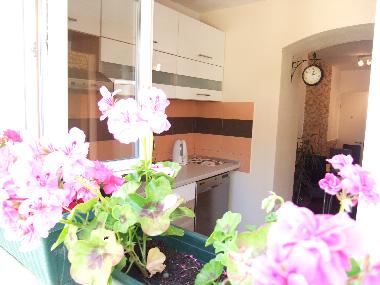 Appartement de vacances �/en/au SPLIT (Splitsko-Dalmatinska)ou appartement ou maison de vacances