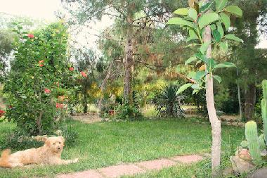 Appartement de vacances /en/au Cabras (Oristano)ou appartement ou maison de vacances