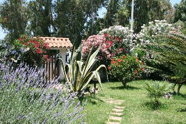 Appartement de vacances /en/au Cabras (Oristano)ou appartement ou maison de vacances