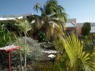 Appartement de vacances �/en/au Curacao (Curacao)ou appartement ou maison de vacances