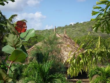 Appartement de vacances �/en/au Curacao (Curacao)ou appartement ou maison de vacances