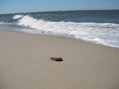 Maison de vacances /en/au Dźwirzyno  (Zachodniopomorskie)ou appartement ou maison de vacances