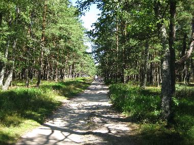 Maison de vacances /en/au Dźwirzyno  (Zachodniopomorskie)ou appartement ou maison de vacances