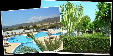 Appartement de vacances /en/au campello (Alicante / Alacant)ou appartement ou maison de vacances