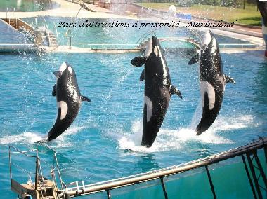 Appartement de vacances /en/au Thoule sur Mer (Alpes-Maritimes)ou appartement ou maison de vacances