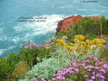 Appartement de vacances /en/au Thoule sur Mer (Alpes-Maritimes)ou appartement ou maison de vacances