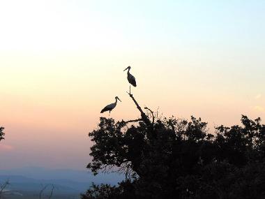 Villa �/en/au Botevo (Yambol)ou appartement ou maison de vacances